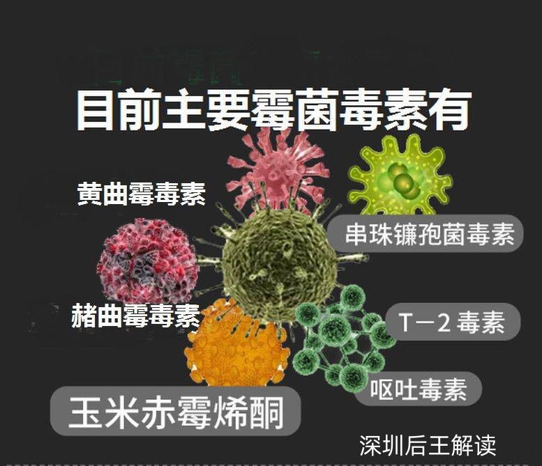 常見(jiàn)的真菌毒素種類(lèi)