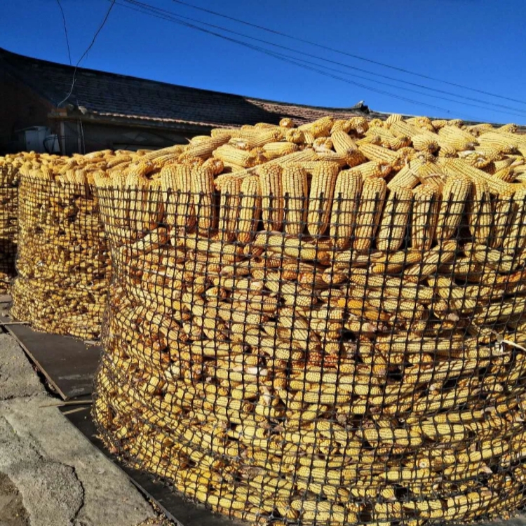 玉米水分測定儀幫助企業掌握關鍵的生產數據